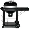 Napoleon PRO-CART Holzkohle Kugelgrill, Ø57cm