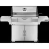 Napoleon PRO605 Holzkohlegrill